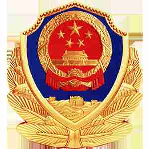 重庆市公安局公共信息网络安全监察总队警务公开网 - 备案验证信息