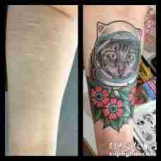 男生手臂上彩绘水彩素描文艺伤疤覆盖猫咪纹身图片