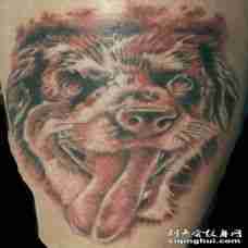 吐舌头的狗纹身图案