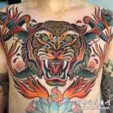 胸部美式传统的彩色老虎和交叉匕首火焰纹身图案