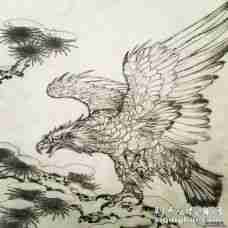 传统中式风格老鹰祥云纹身图案手稿