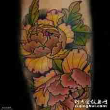 大臂彩色的菊花纹身图案