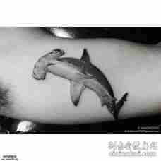 大臂上个性黑灰鲨鱼纹身图案