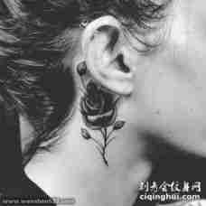 女生耳后黑色素描点刺技巧唯美玫瑰纹身图片