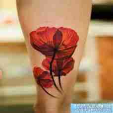 腿部漂亮时尚的罂粟花纹身图片