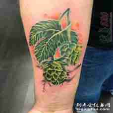 男生手臂上彩绘绿色树叶和葡萄纹身图片