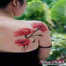 罂粟花纹身 侧腰性感的罂粟花纹身图案