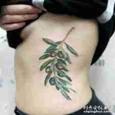 华丽的腰部侧面橄榄枝纹身图像