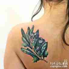 背部肩膀水彩风格的橄榄枝纹身图案