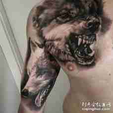 胸部和胳膊两只3D成年狼纹身图片