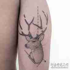断了角的黑色鹿胳膊纹身图片
