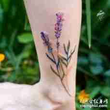 小腿部位两只紫粉色薰衣草和黄绿色枝叶纹身