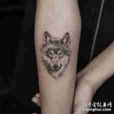 手臂可爱的灰色3D狼头纹身图案