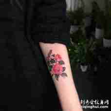 手臂漂亮的逼真茶花花朵与枝叶纹身图案