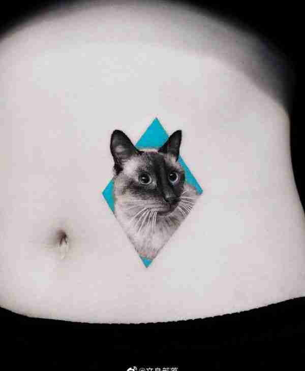 腹部可爱猫咪肖像纹身图案