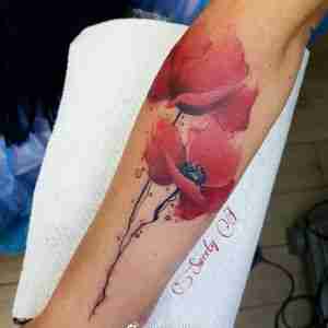 小臂水彩风格罂粟花纹身图案
