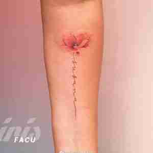 小臂水彩风粉色罂粟花纹身图案