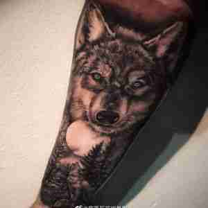 小臂黑灰写实森林狼纹身图案