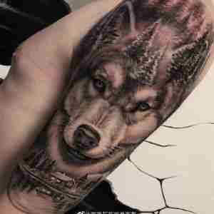 大臂欧美写实森林狼纹身图案