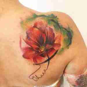 后背肩胛水彩风罂粟花纹身图案