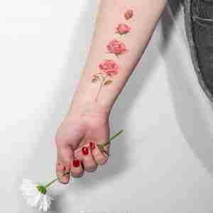 小臂小清新西瓜红玫瑰纹身图案