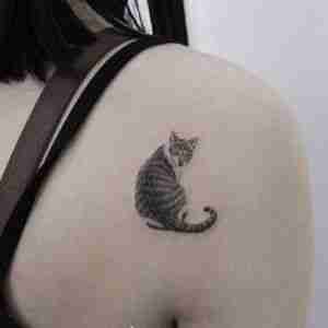 背部小清新黑灰风猫咪纹身图案