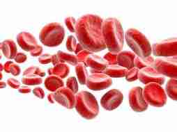 血小板减少_血小板减少的症状_血小板减少治疗