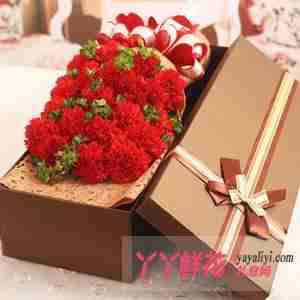 19朵红色康乃馨礼盒